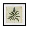 Stupell Industries Vintage Blue Botanical Illustration Framed Print Under Glass, design by Petal Prints Design
